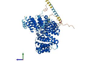 AlphaFold protein structure predicition of Human Recombinant NAA16 Protein, UniprotID Q6N069