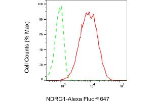 Flow cytometric analysis of NDRG1 expression in HT- cells using NDRG1 antibody (ABIN7799536), 1:2,000). (Recombinant NDRG1 anticorps)