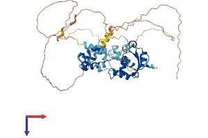 AlphaFold protein structure predicition of Mouse Recombinant Ets1 Protein, UniprotID P27577