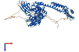 AlphaFold protein structure predicition of Human Recombinant HSPA4L Protein, UniprotID O95757