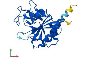AlphaFold protein structure predicition of Mouse Recombinant Pgpep1 Protein, UniprotID Q9ESW8