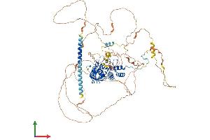 AlphaFold protein structure predicition of Human Recombinant PPP1R13L Protein, UniprotID Q8WUF5