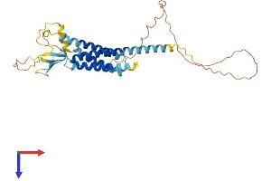 AlphaFold protein structure predicition of Human Recombinant CACNG3 Protein, UniprotID O60359