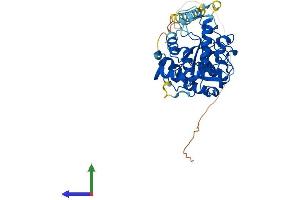 AlphaFold protein structure predicition of Human Recombinant ST3GAL5 Protein, UniprotID Q9UNP4