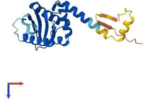 AlphaFold protein structure predicition of Human Recombinant AP3S1 Protein, UniprotID Q92572