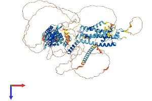 AlphaFold protein structure predicition of Human Recombinant KCNH3 Protein, UniprotID Q9ULD8