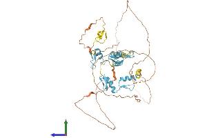 AlphaFold protein structure predicition of Human Recombinant PLAGL2 Protein, UniprotID Q9UPG8
