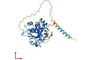 AlphaFold protein structure predicition of Human Recombinant ST3GAL2 Protein, UniprotID Q16842