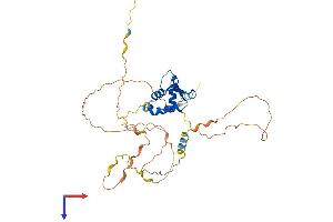 AlphaFold protein structure predicition of Mouse Recombinant Foxi1 Protein, UniprotID Q922I5