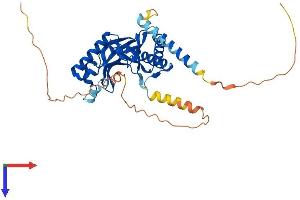 AlphaFold protein structure predicition of Human Recombinant AKAP7 Protein, UniprotID Q9P0M2