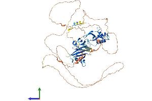 AlphaFold protein structure predicition of Mouse Recombinant Dvl3 Protein, UniprotID Q61062