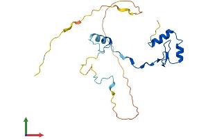 AlphaFold protein structure predicition of Mouse Recombinant Ino80c Protein, UniprotID Q8BHA0