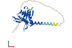 AlphaFold protein structure predicition of Mouse Recombinant Naa10 Protein, UniprotID Q9QY36