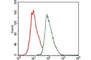 Flow cytometric analysis of HeLa cells using CEBPA mouse mAb (green) and negative control (red). (CEBPA anticorps)