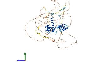 AlphaFold protein structure predicition of Mouse Recombinant Eloa Protein, UniprotID Q8CB77