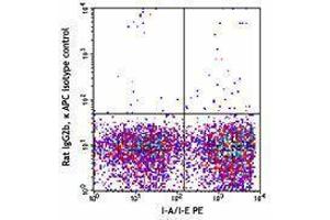 Flow Cytometry (FACS) image for anti-DC Marker antibody (APC) (ABIN2658748) (DC Marker anticorps (APC))