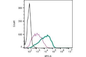 Cell surface detection of P2Y12 by direct flow cytometry in live intact human  megakaryocytic cells: + Rabbit IgG isotype control-APC (ABIN7582043).