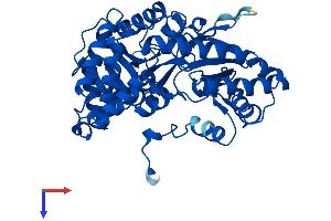 AlphaFold protein structure predicition of Human Recombinant KYAT1 Protein, UniprotID Q16773