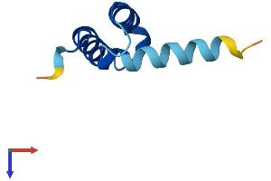 AlphaFold protein structure predicition of Mouse Recombinant Cmc4 Protein, UniprotID Q61908