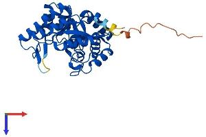 AlphaFold protein structure predicition of Mouse Recombinant Tatdn3 Protein, UniprotID Q3U1C6