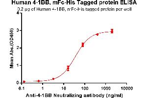 ELISA plate pre-coated by 2 μg/mL (100 μL/well) Human 4-1BB, mFc-His tagged protein (ABIN6961084, ABIN7042197 and ABIN7042198) can bind Anti-4-1BB Neutralizing antibody ABIN7093056 and ABIN7272586 in a linear range of 3.
