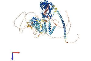 AlphaFold protein structure predicition of Human Recombinant TBC1D1 Protein, UniprotID Q86TI0