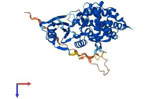 AlphaFold protein structure predicition of Human Recombinant ETNK2 Protein, UniprotID Q9NVF9