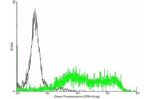 FACS analysis of negative control 293 cells (Black) and ULBP2 expressing 293 cells (Green) using ULBP2 purified MaxPab mouse polyclonal antibody.