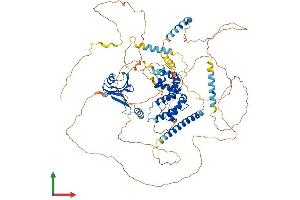 AlphaFold protein structure predicition of Human Recombinant AXIN1 Protein, UniprotID O15169