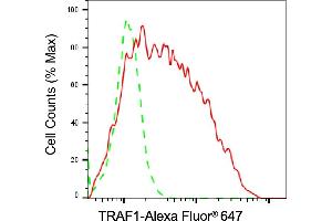 Flow cytometric analysis of TRAF1 expression in Raji cells using TRAF1 antibody (ABIN7800562), 1:2,000). (TRAF1 anticorps)