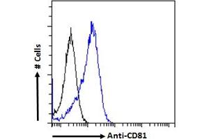 ABIN6391405 Flow cytometric analysis of paraformaldehyde fixed Jurkat cells (blue line), permeabilized with 0. (CD81 anticorps  (Internal Region))