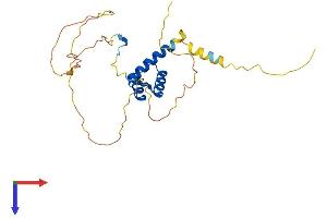 AlphaFold protein structure predicition of Human Recombinant HOXB8 Protein, UniprotID P17481