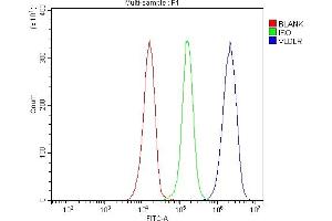 Flow Cytometry analysis of JK cells using anti-VLDL Receptor/VLDLR antibody (ABIN7600777).