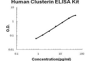 Human Clusterin PicoKine ELISA Kit standard curve (Clusterin Kit ELISA)