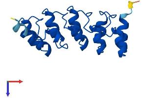 AlphaFold protein structure predicition of Human Recombinant CDKN2D Protein, UniprotID P55273