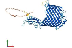 AlphaFold protein structure predicition of Mouse Recombinant Samm50 Protein, UniprotID Q8BGH2