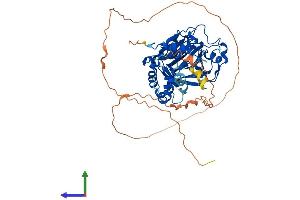 AlphaFold protein structure predicition of Mouse Recombinant Kdm4d Protein, UniprotID Q3U2K5