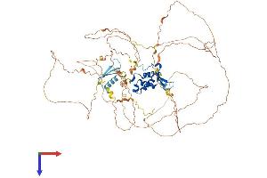 AlphaFold protein structure predicition of Human Recombinant FOXM1 Protein, UniprotID Q08050