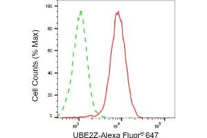 Flow cytometric analysis of UBE2Z expression in HepG2 cells using UBE2Z antibody (ABIN7800755), 1:2,000). (UBE2Z anticorps)