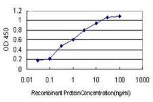 Detection limit for recombinant GST tagged DAG1 is approximately 0. (Dystroglycan anticorps  (AA 31-140))