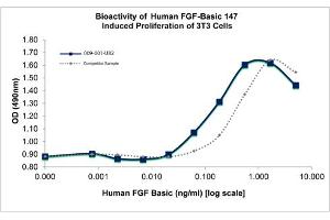 SDS-PAGE of Human Fibroblast Growth Factor 147 basic Recombinant Protein Bioactivity of Human Fibroblast Growth Factor 147 basic Recombinant Protein.