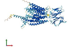 AlphaFold protein structure predicition of Human Recombinant SLC15A1 Protein, UniprotID P46059