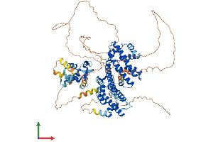 AlphaFold protein structure predicition of Human Recombinant RFX3 Protein, UniprotID P48380