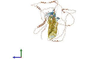 AlphaFold protein structure predicition of Human Recombinant TRO Protein, UniprotID Q12816