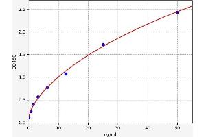 Fatty Acid Desaturase 2 (FADS2) ELISA Kit