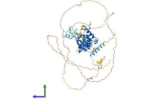 AlphaFold protein structure predicition of Human Recombinant CNOT4 Protein, UniprotID O95628