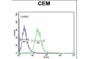 EDIL3 Antibody (Center) (ABIN652953 and ABIN2842608) flow cytometric analysis of CEM cells (right histogram) compared to a negative control cell (left histogram). (EDIL3 anticorps  (AA 337-365))