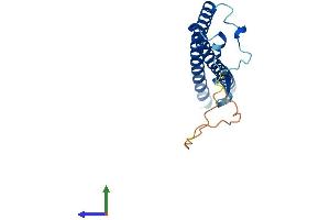 AlphaFold protein structure predicition of Human Recombinant CCDC115 Protein, UniprotID Q96NT0