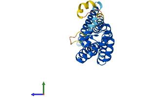 AlphaFold protein structure predicition of Human Recombinant TSPAN1 Protein, UniprotID O60635