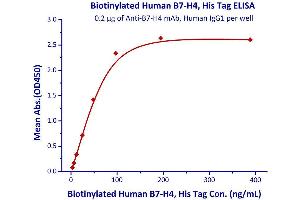 Measured by its binding ability in a functional ELISA.